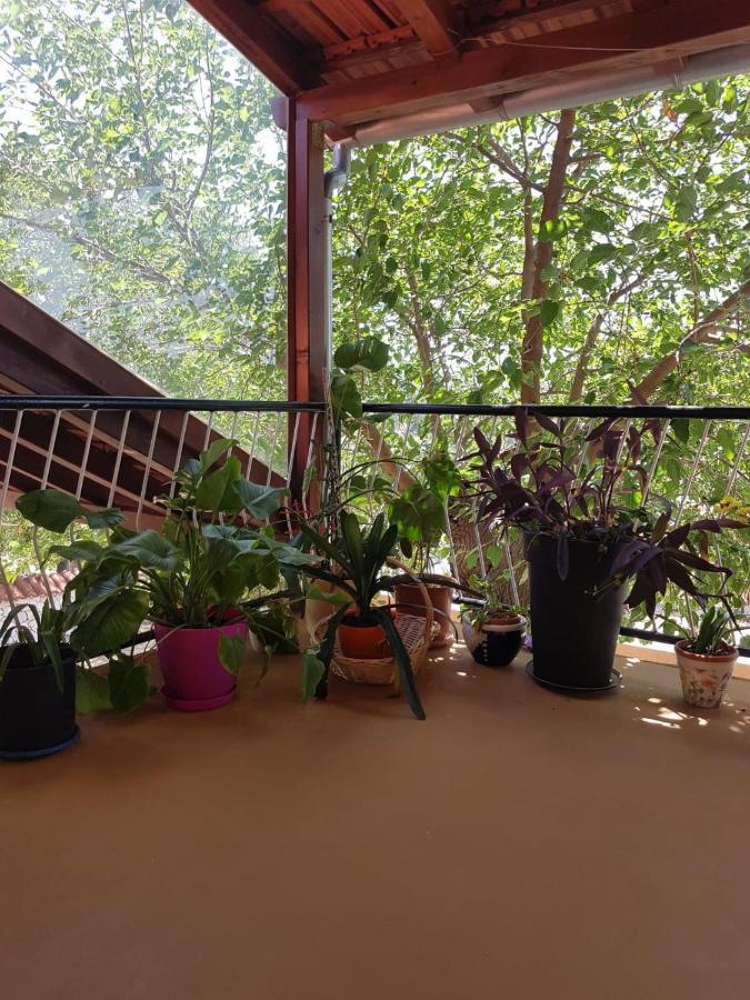 Apartmani Corleone Билице Екстериор снимка
